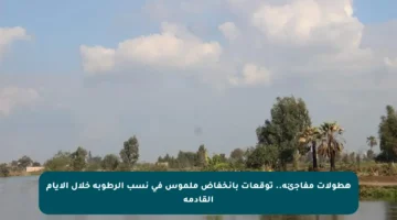 هطولات مفاجئة.. توقعات بانخفاض ملموس في نسب الرطوبة خلال الأيام القادمة